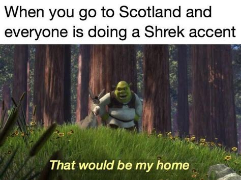 51 Of The Best Shrek Memes The Internet Made Popular Inspirationfeed