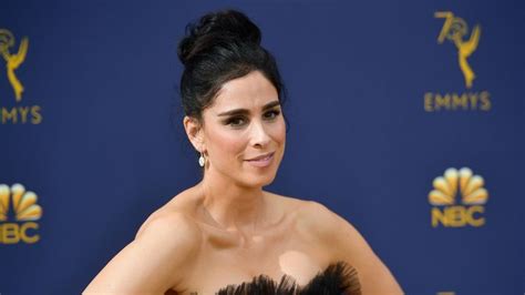 Sarah Silverman Sorry After Louis Ck Comments Ents And Arts News