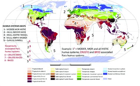 Global Ecological Zones Of The World Download Scientific Diagram