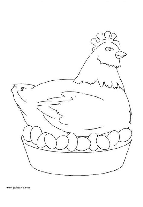 Dibujos Para Colorear Gallina Incubando Huevos