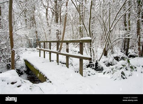 Footbridge Covered In Snow Over Frozen River In Blean Woods Kent