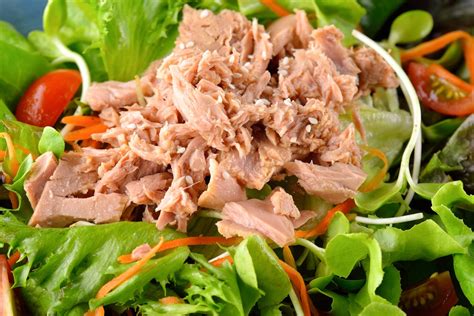 For added protein, add a slice of grilled fatty fish on the side. Tangy Tuna Salad Recipe For Diabetics - Diabetes Self ...