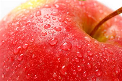 Washed Red Apple Stock Photo Image Of Apple Drop Background 58419870
