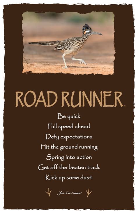 Advice From A Road Runner Hit The Ground Running