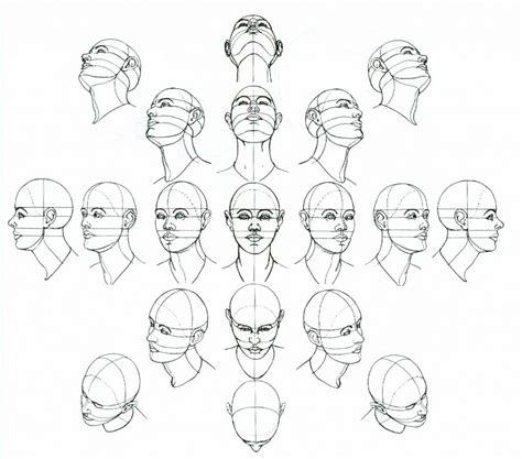 Image Result For Head Perspective Reference Drawing The Human Head