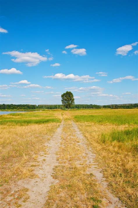 Beautiful Landscape Road To A Lonely Tree Stock Photo Image Of Dead