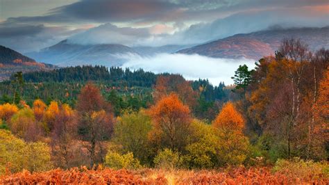 Trossachs National Park Autumn Scotland 2019 Bing Desktop Preview