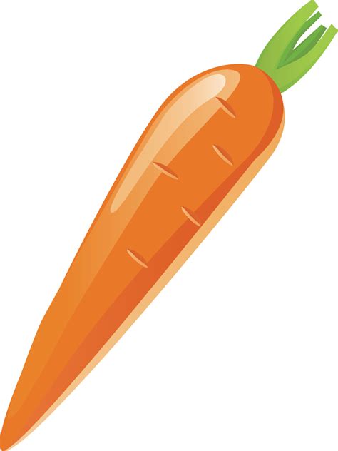 Download High Quality Carrot Clipart Vector Transparent Png Images
