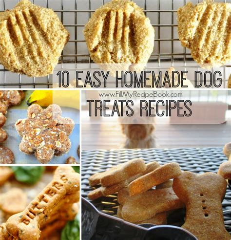 10 Easy Homemade Dog Treats Recipes Fill My Recipe Book