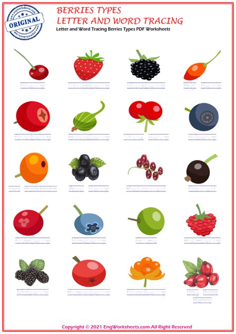 Berries Types Printable English Esl Vocabulary Worksheets Engworksheets