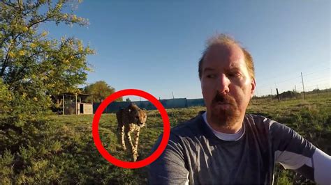 8 Unbelievable Animal Encounters Caught On Camera Part 2 Youtube