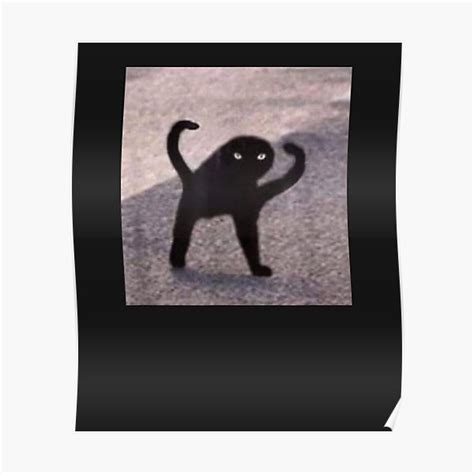 Cursed Cat Memes Cursed Cat Angry As Fuk Dank Meme Poster For Sale