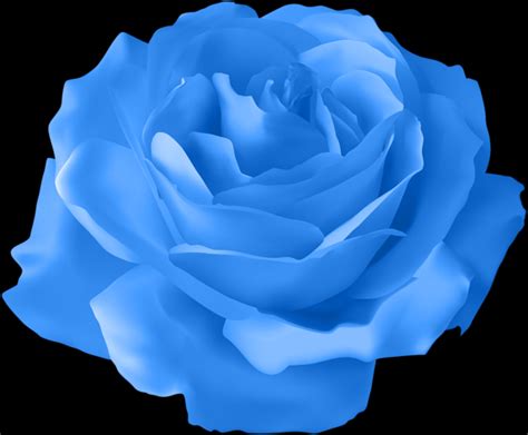 Blue Rose Counseling Durham Nc