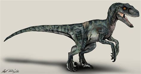Jurassic World Velociraptor Delta By Nikorex On Deviantart Jurassic