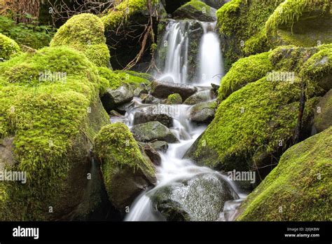 Close Up Of Small Waterfall And Mossy Rocks Stock Photo Alamy