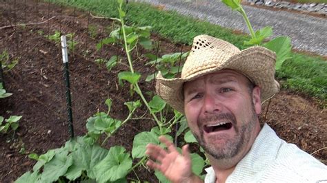 When you could use a little gnome magic at your entryway, garden vegetable plot or flowerbed, dagobert the garden gnome statue is at the ready! This is getting out of hand!! Gardening tips to keep the ...