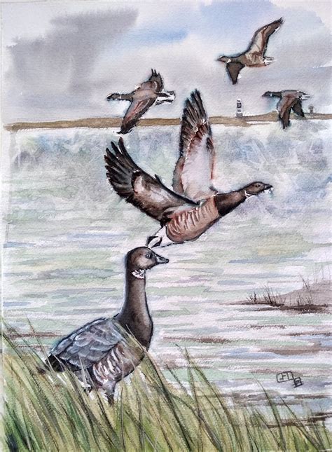 Brent Geese Original Watercolour Painting Bird Art A Wildlife
