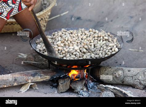 Groundnut Senegal Hi Res Stock Photography And Images Alamy