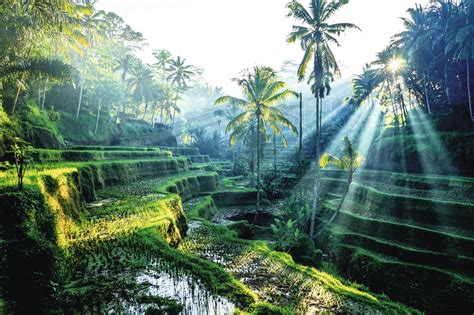 When Is The Best Time To Visit Bali Uk