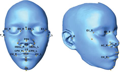 3d facial scan with annotated landmarks 3d facial mesh obtained for download scientific