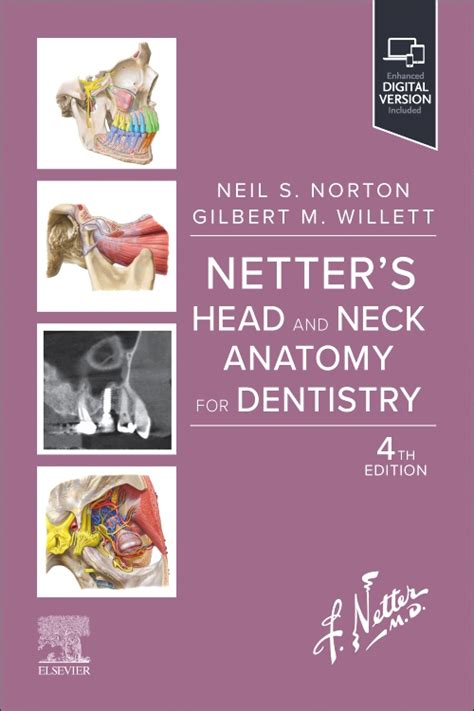 Netters Head And Neck Anatomy For Dentistry Edition 4 By Neil S