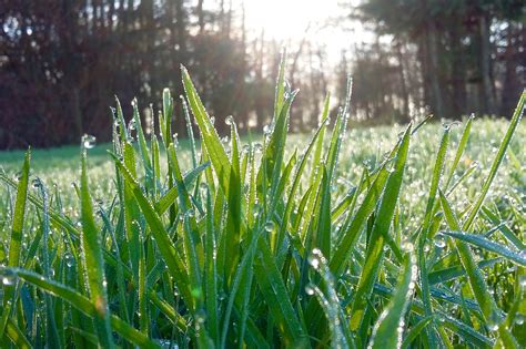 Spring Lawn Care Tasks To Help Prepare Your Yard For Spring