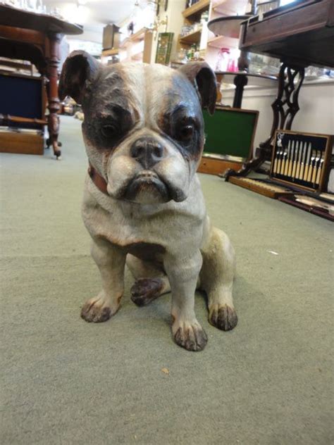 Since the breed is not recognized by any major kennel club, the breed standard was. Victorian Bulldog | 481596 | Sellingantiques.co.uk