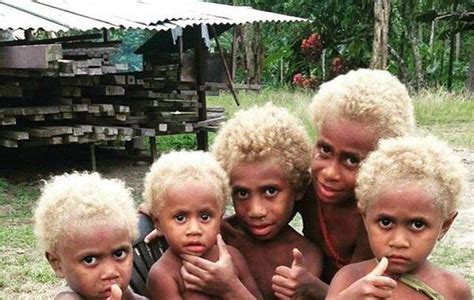 Meet The Melanasians Black People With Naturally Blonde Hair — Blk