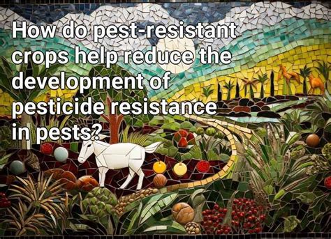 How Do Pest Resistant Crops Help Reduce The Development Of Pesticide