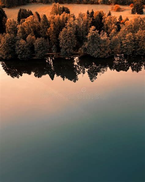 Vertical Drone Shot Of A Lake Reflecting Yellowing Trees Near Golden