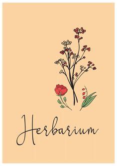 In einem herbarium sammelst du also konservierte pflanzen oder einzelne pflanzenbestandteile. Herbarium | Herbarium vorlage, Deckblatt schule und Blumen ...