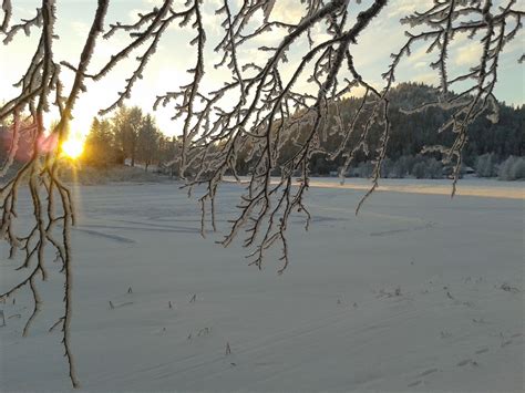 Immeljärvi Marraskuussa Immeljärvi Lake In November As The Sun Still