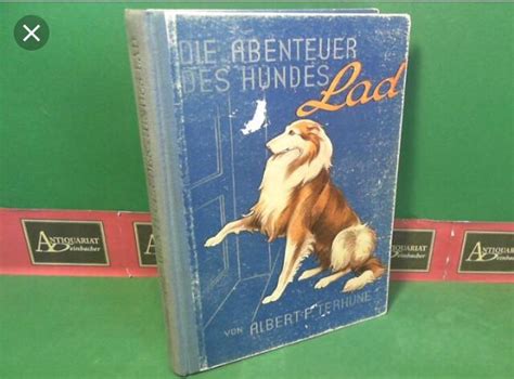Lad A Dog Vintage Albert Payson Terhune Book This Version In German