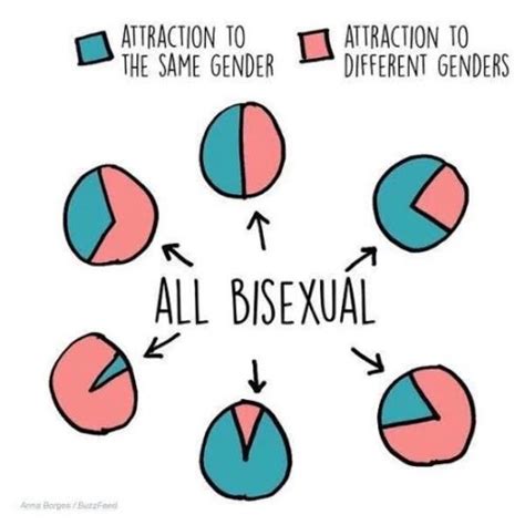 Identity Series Bisexual Erasure Pause For Perspective