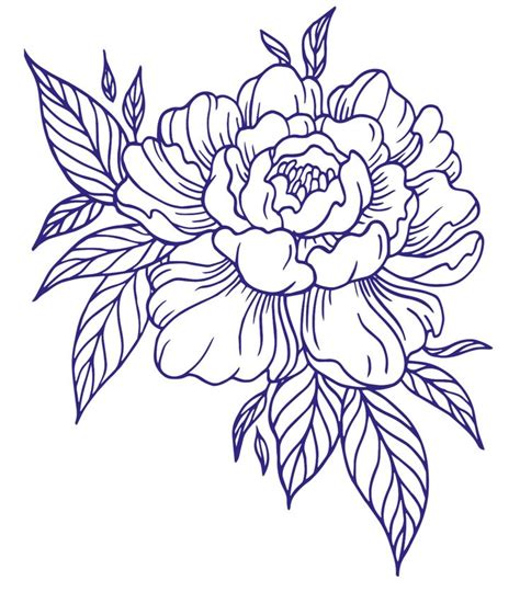 Peony Embroidery Pattern Outline Flower Line Drawings Tattoo
