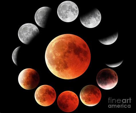 Red Moon Phases In Circle Photograph By Benny Marty Pixels