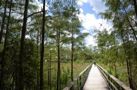 8 Of The Best Hikes Under 5 Miles In Florida You Can Take Hiking In
