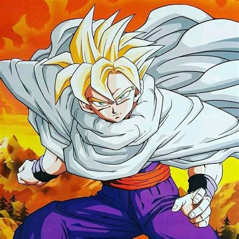 These balls, when combined, can grant the owner any one wish he desires. Super Saiyajin Gohan! | Dragon Ball Z (1998) | Anime ...