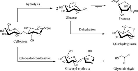 Cellobiose is a disaccharide with the formula hoch2cho(choh)32o. Hydrolysis of cellobiose to monosaccharide catalyzed by ...