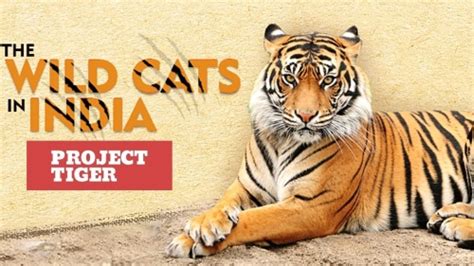 Best Of Wildlife Conservation Efforts In India 2020