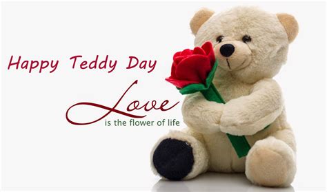 By gifting you this teddy, i want to show you that i am ready to make you mine, and fill my life with sunshine! Happy Valentine Day 2018