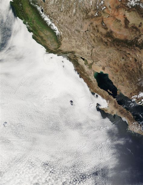 Large Stratocumulus Deck Off The Coast Of Baja California