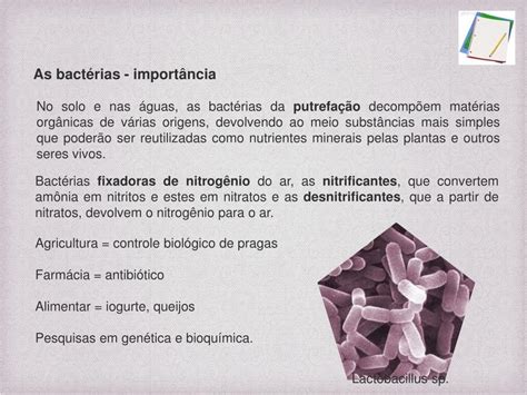 Ppt Bactérias Reino Monera Powerpoint Presentation Free Download