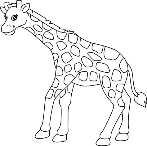 Giraffe Coloring Page Vector Art Icons And Graphics For Free Download