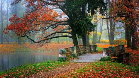 1920x1080 Autumn Beauty Bridge Lake Landscape Leaves Nature Tree Coolwallpapersme