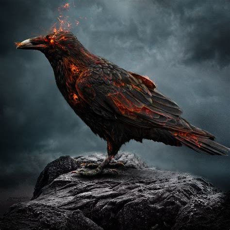 Black Crow On A Tombstone Raven Artwork Crow Raven