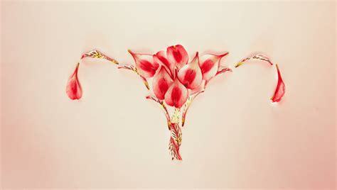 two vaginas wombs and separate pregnancies are possible with uterine didelphys iflscience