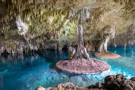 Tulum Cénotes Et Grottes De Sac Actun Excursion Privée Au Départ De