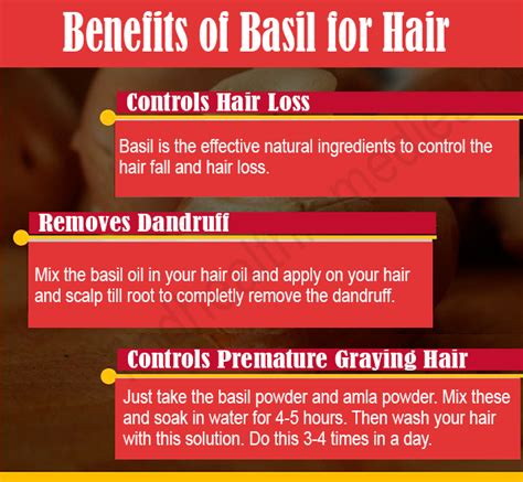 20 Amazing Benefits Of Basil For Health Skin And Hair
