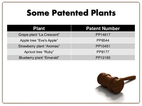 Plant Patents Protect Breeder S Rights Proline Nursery Equipment